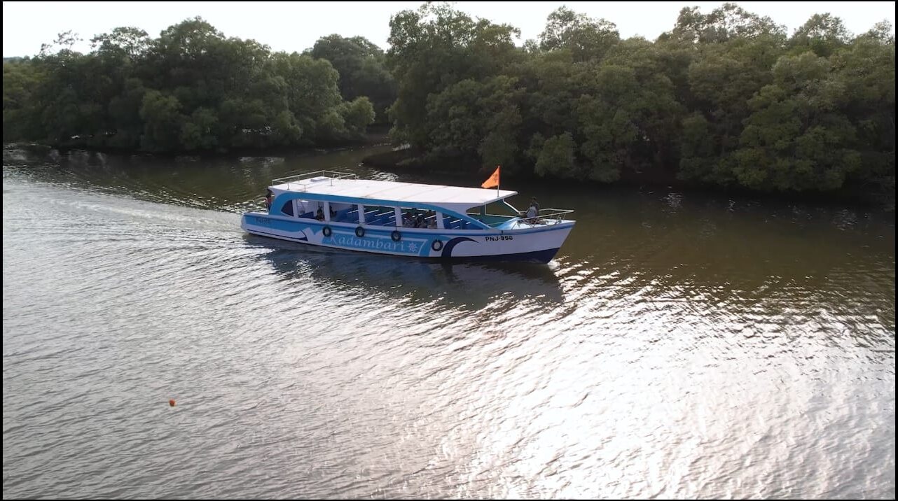 Kadambari boat cruising beside Nerul mangroves