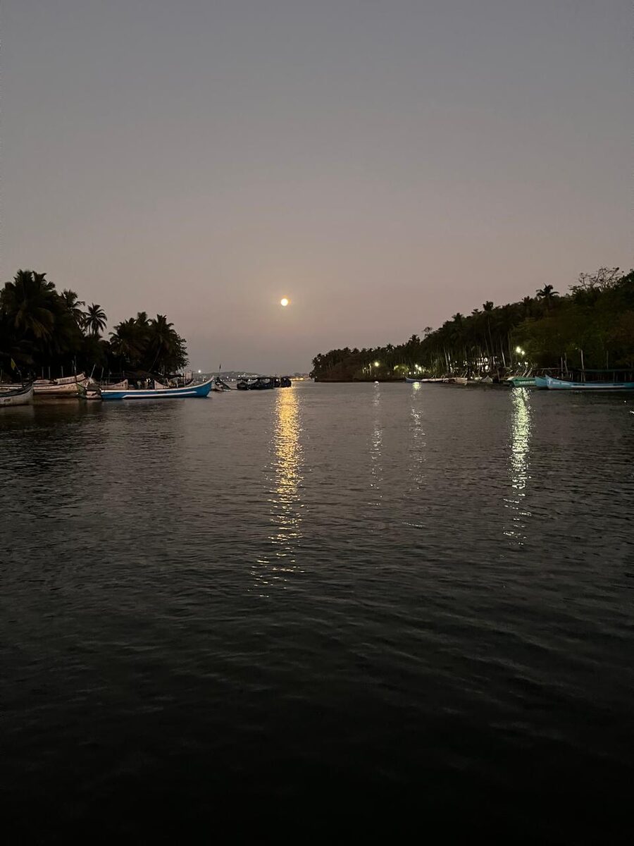 Moon reflected on a palm-lined backwater