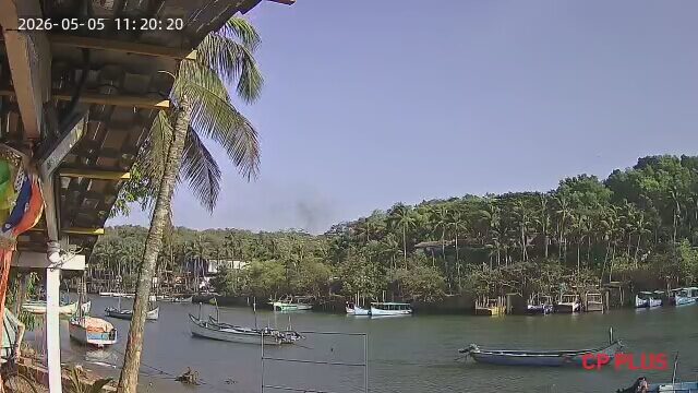 Palm-lined Nerul backwater with local boats